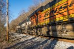 BNSF Duo Leading B709